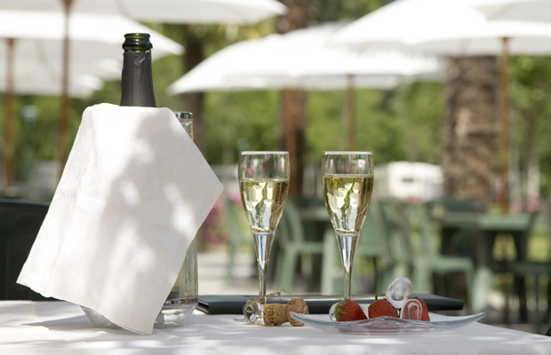 zobacz camping - zdjęcie 11