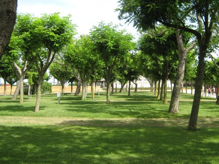 Campeggio Conero Azzurro - zdjęcie 1