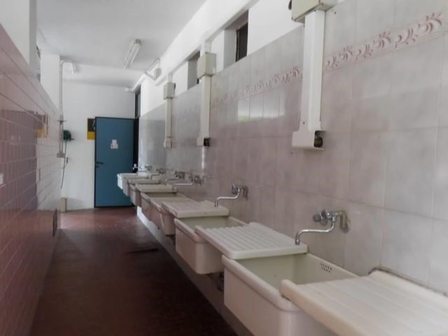 zobacz camping - zdjęcie 6