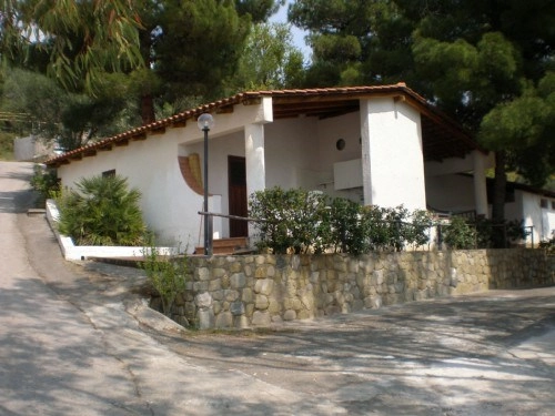 zobacz camping - zdjęcie 26