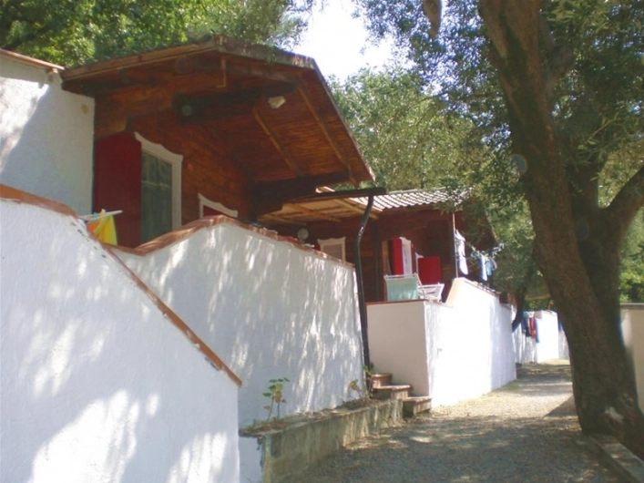 zobacz camping - zdjęcie 24