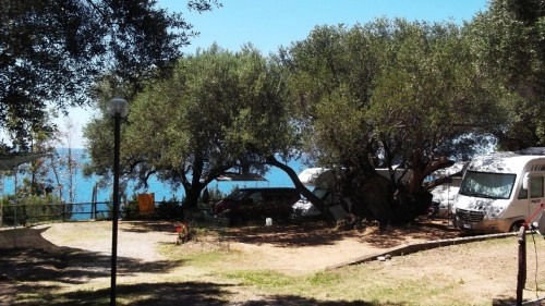 zobacz camping - zdjęcie 20