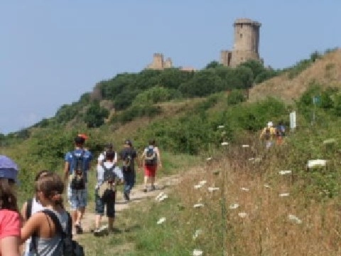 zobacz camping - zdjęcie 13