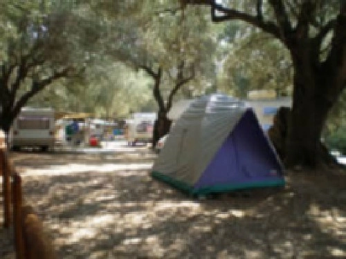 zobacz camping - zdjęcie 12