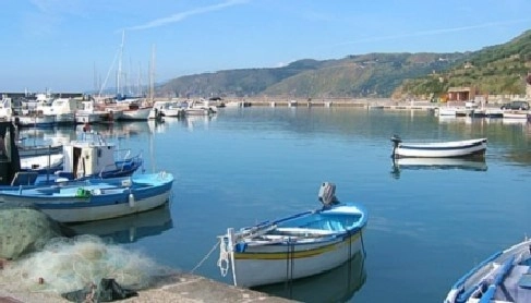 zobacz camping - zdjęcie 9