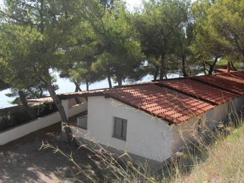 zobacz camping - zdjęcie 7