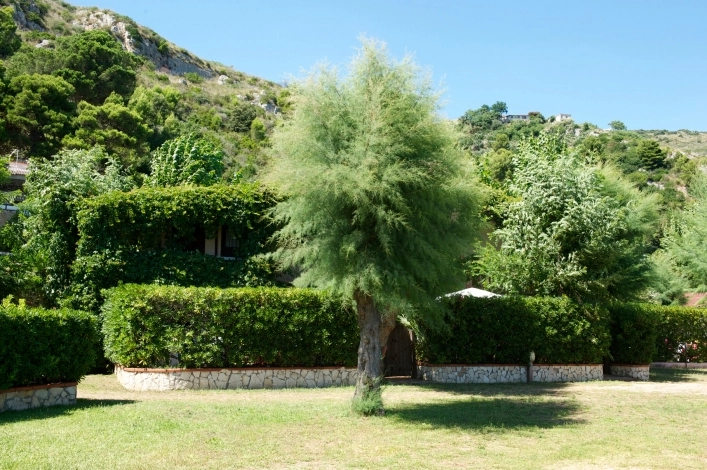 zobacz camping - zdjęcie 5