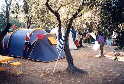 zobacz camping - zdjęcie 11