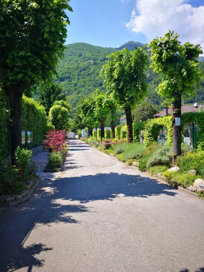 zobacz camping - zdjęcie 11