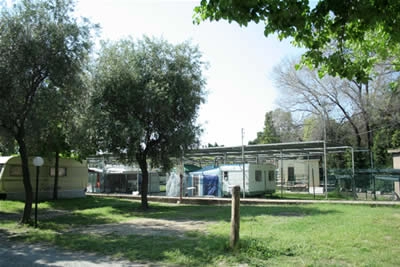 zobacz camping - zdjęcie 32