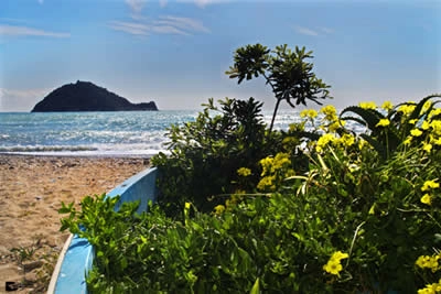 zobacz camping - zdjęcie 29