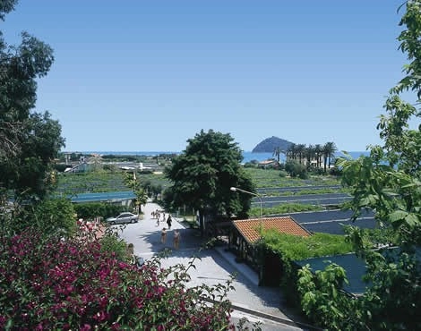 zobacz camping - zdjęcie 26