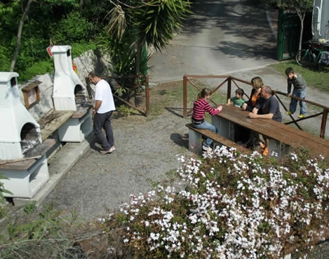 zobacz camping - zdjęcie 25