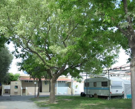 zobacz camping - zdjęcie 19