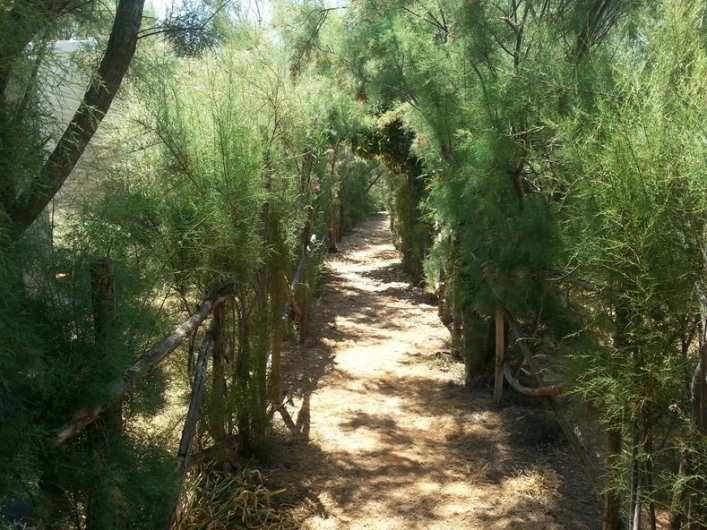 zobacz camping - zdjęcie 12