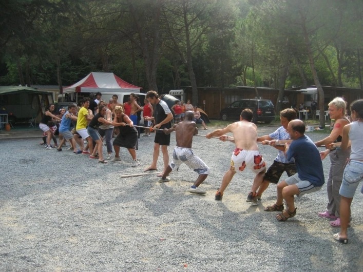 zobacz camping - zdjęcie 10