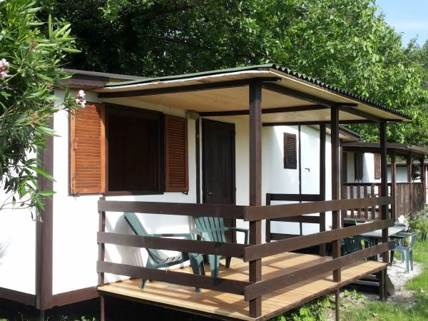 zobacz camping - zdjęcie 10