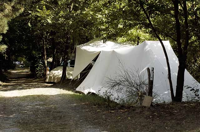 zobacz camping - zdjęcie 24