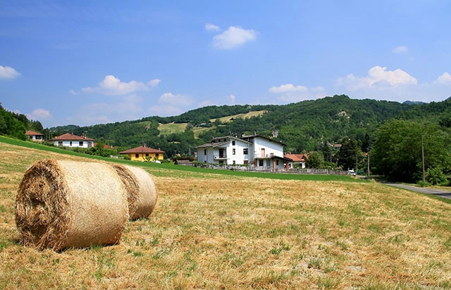 zobacz camping - zdjęcie 7