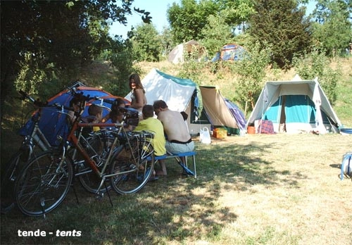 zobacz camping - zdjęcie 30