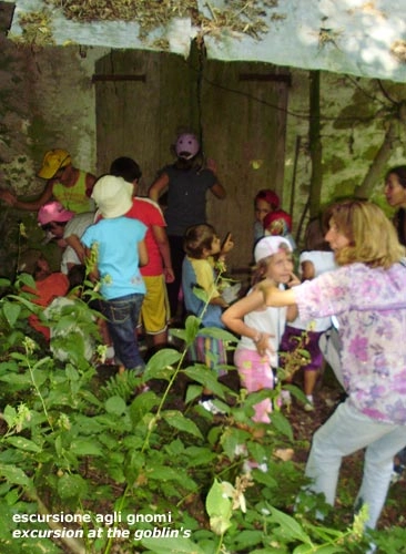 zobacz camping - zdjęcie 27