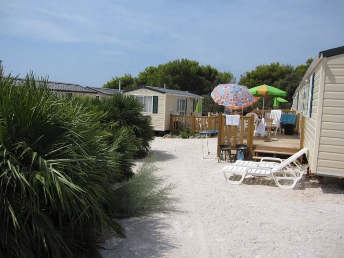 zobacz camping - zdjęcie 31