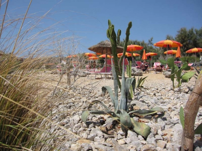 zobacz camping - zdjęcie 19