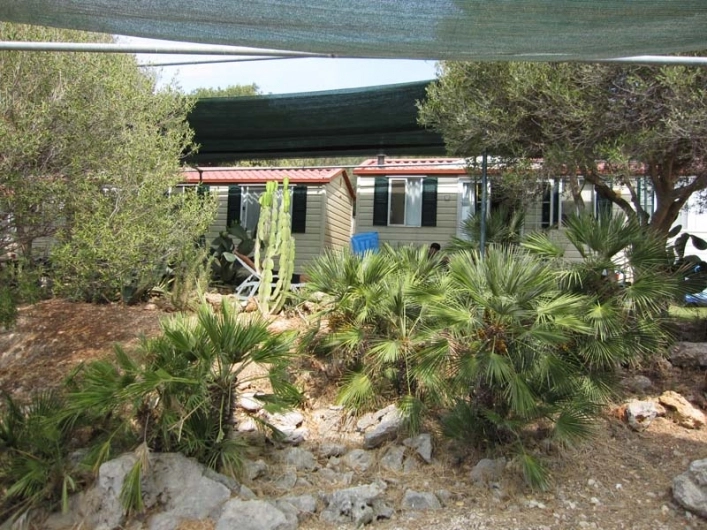 zobacz camping - zdjęcie 10