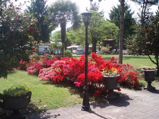 zobacz camping - zdjęcie 16