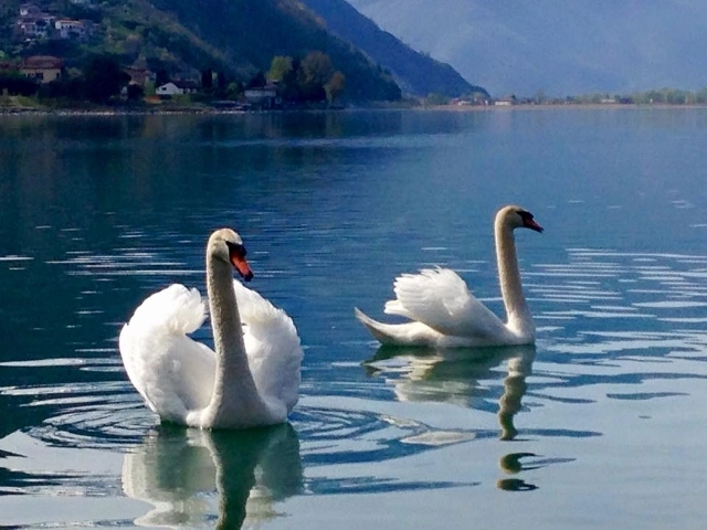 zobacz camping - zdjęcie 10