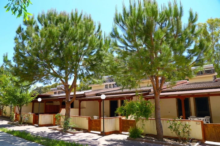 zobacz camping - zdjęcie 33