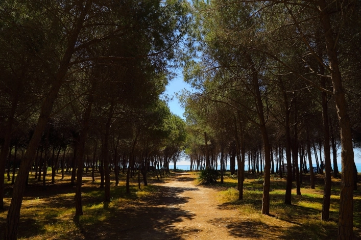 zobacz camping - zdjęcie 28