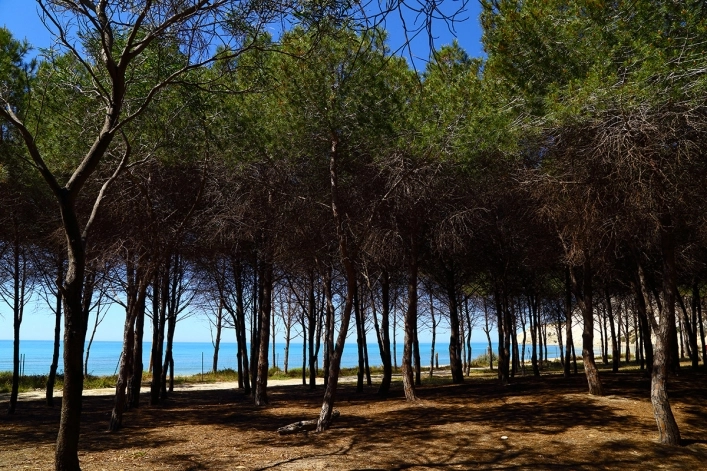 zobacz camping - zdjęcie 27