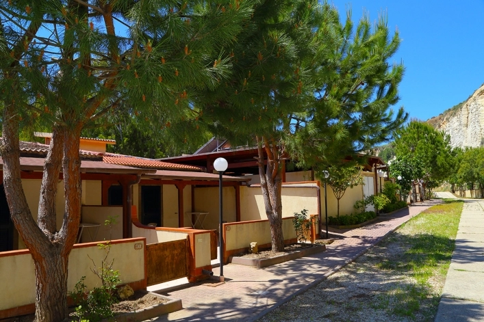 zobacz camping - zdjęcie 19