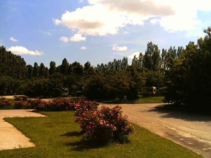 zobacz camping - zdjęcie 13