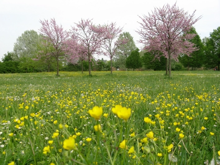 zobacz camping - zdjęcie 1