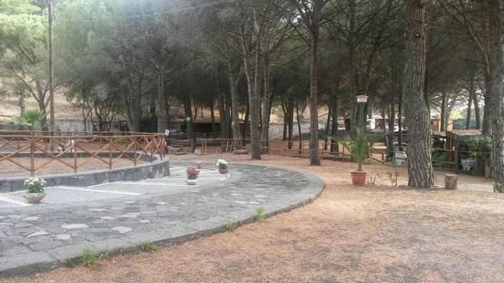 zobacz camping - zdjęcie 26