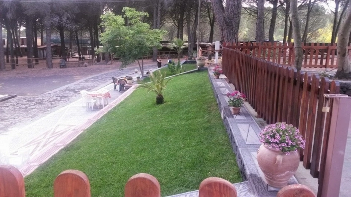 zobacz camping - zdjęcie 24