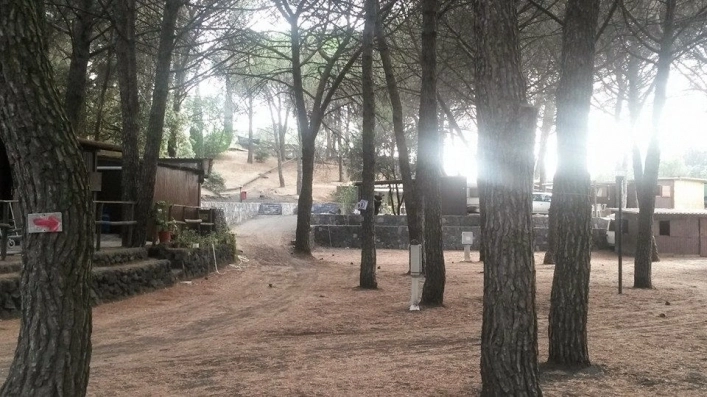 zobacz camping - zdjęcie 21