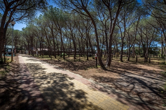 zobacz camping - zdjęcie 25