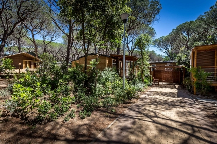 zobacz camping - zdjęcie 20