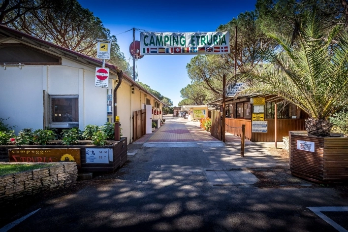 zobacz camping - zdjęcie 12