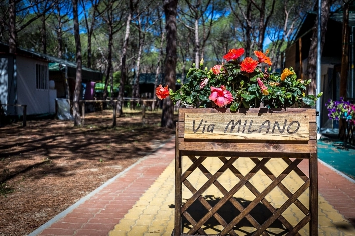 zobacz camping - zdjęcie 11