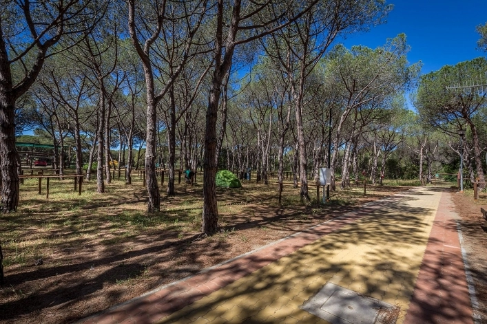 zobacz camping - zdjęcie 10