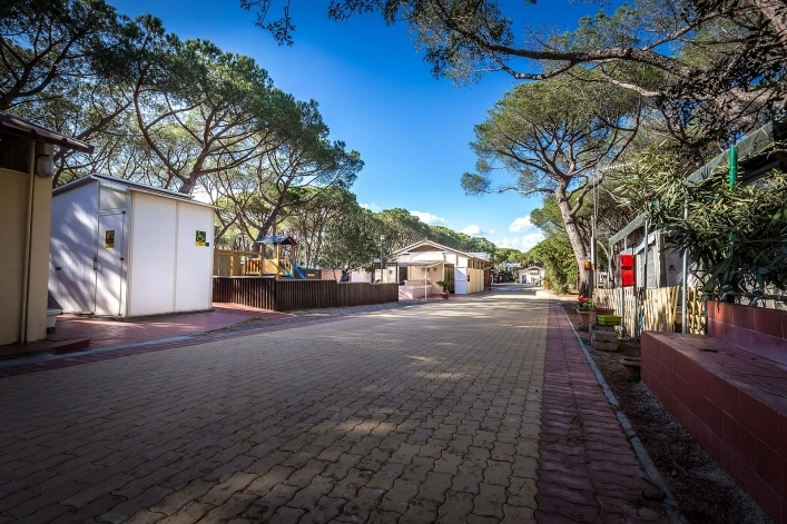 zobacz camping - zdjęcie 3