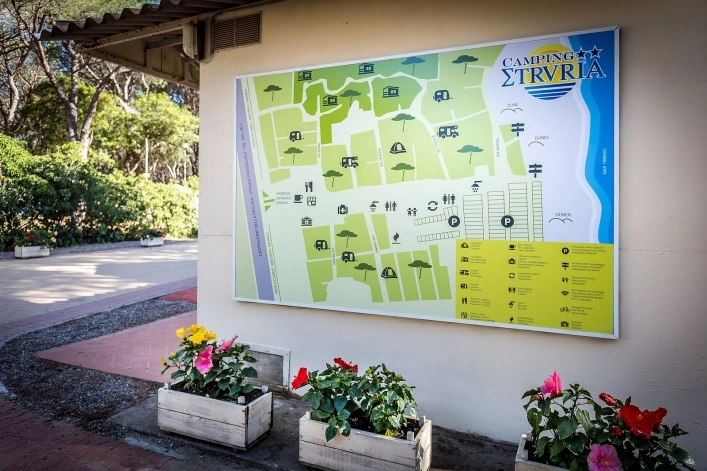 zobacz camping - zdjęcie 2