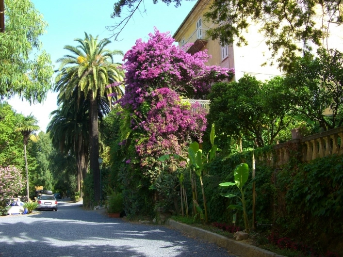 zobacz camping - zdjęcie 8