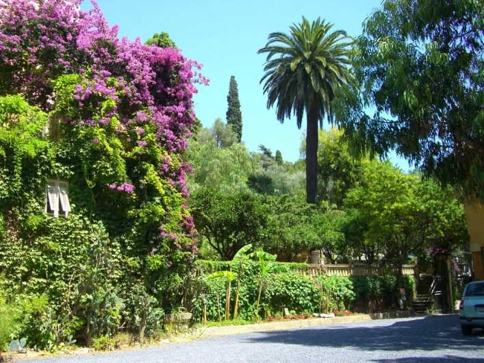 zobacz camping - zdjęcie 7