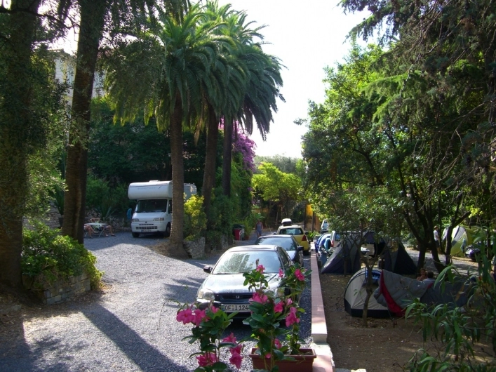 Campeggio Eucalyptus - zdjęcie 2