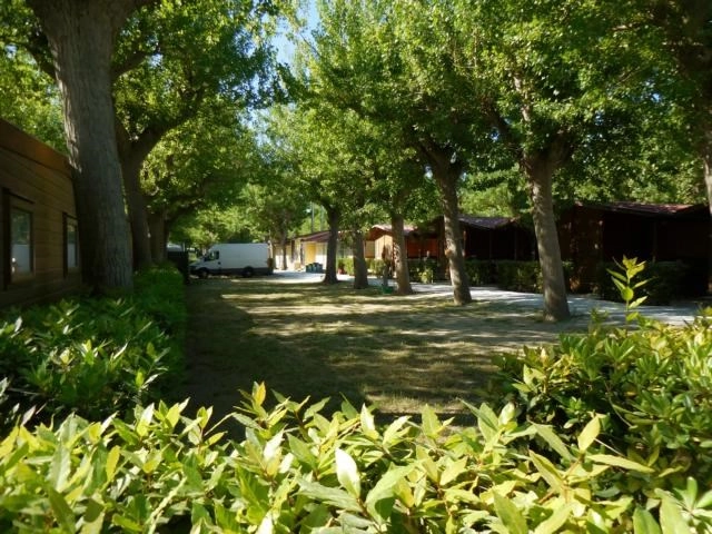 zobacz camping - zdjęcie 14